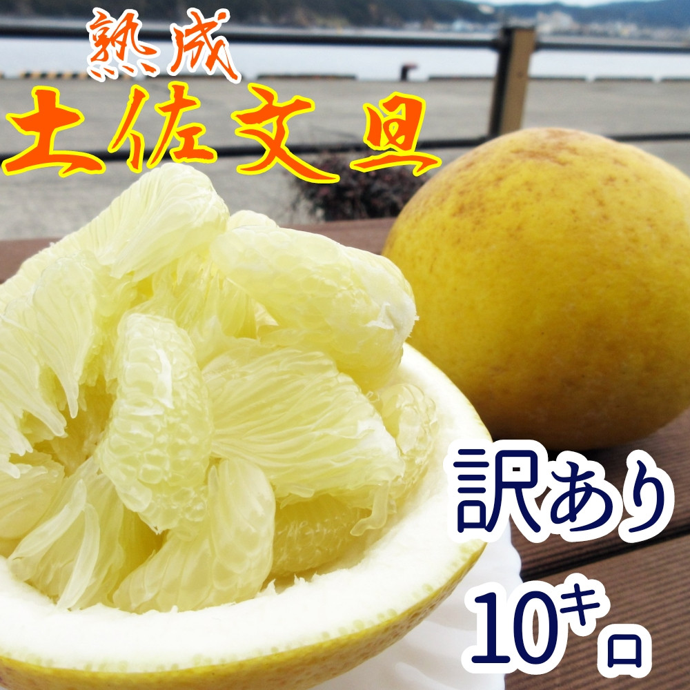 
            【訳あり】先行予約 熟成 土佐文旦10キロ（柑橘 フルーツ みかん ザボン ）ミカン 果物 果実 10キロ ぶんたん ブンタン おやつ デザート 甘い 美味しい ご家庭用 国産【R00403】
          