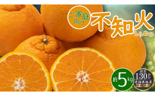 ご家庭向け！不知火(しらぬひ)　約5kg