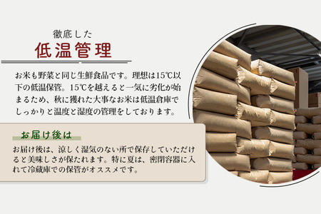 ※一時休止中※秋田県産 あきたこまち 5kg【玄米】(5kg小分け袋)【1回のみお届け】令和5年産　お届け時期選べる お米 あいかわこまち 発送時期が選べる