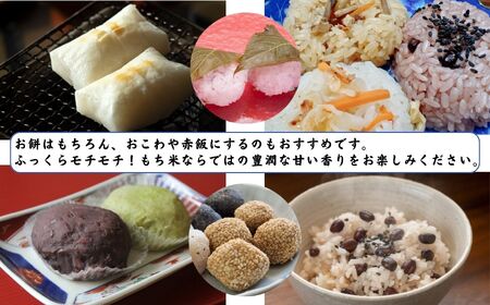 【令和8年産】新潟県産 もち米『こがねもち』1kg 令和8年産 ふっくらモチモチ！ 芳醇な甘い香り 磯貝農場【ふるさと納税 米 ブランド米 餅 赤飯 おこわ 糸魚川】磯貝農場