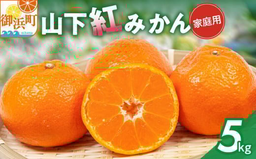 辻本農園の山下紅みかん（家庭用）５キロ【期間限定 数量限定 キズあり まぼろし 幻 高級 甘い 果物 ミカン 柑橘 フルーツ 家庭用 三重県 御浜町】