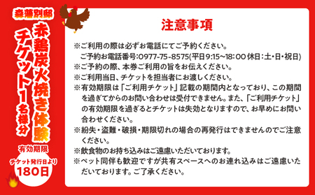 鶏肉炭火焼体験チケット （1名分）_B007-014