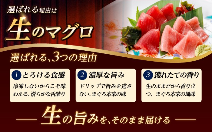五島列島産 養殖 生本かみマグロ 赤身 中トロ 計約500g / マグロ まぐろ 鮪 刺身 ブロック
