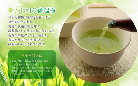 W26-18 新茶 八女星野茶 120g×2本