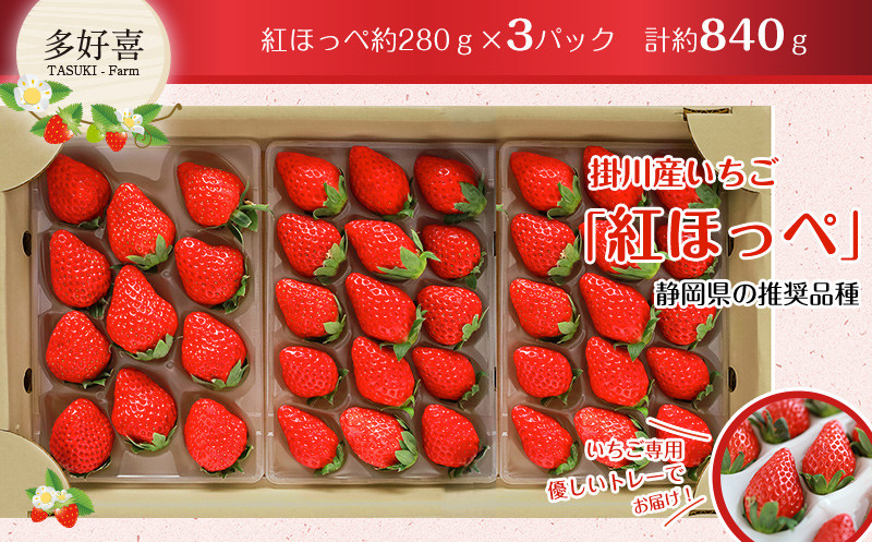 
１７２２　掛川産苺 紅ほっぺ ２８０ｇ×３Ｐ 計８４０ｇセット 令和５年12月中旬より順次発送 多好喜(たすき)① 12月中旬からの発送　② 1月からの発送　２つの中から発送月をお選びください
