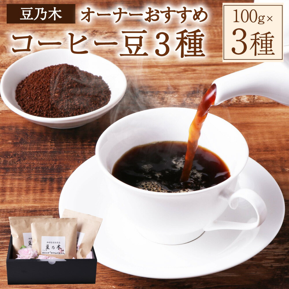 【ふるさと納税】豆乃木オーナーおすすめ コーヒー豆 3種（グァテマラ、ケニア、エチオピア）セット 計300g（各100g×3袋） 粉 中挽き 中煎り 深煎り 珈琲 飲料 ドリンク 福岡県 苅田町 送料無料