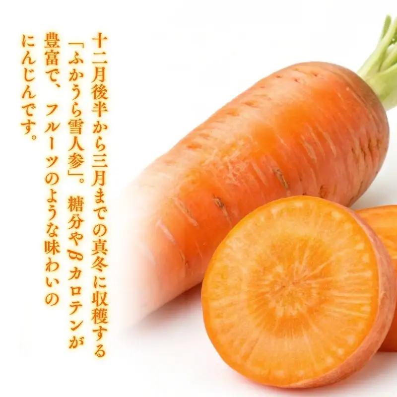 【ふるなびWEEK対象】ふかうら人参ジュース 195g 30本 [fu-0009-001]