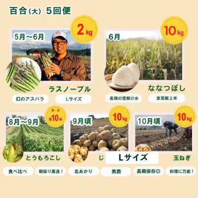 ふるさと納税 美瑛町 野菜の定期便【百合(大)】5回便【令和8年産先行受付!】 美瑛の四季 |  | 02