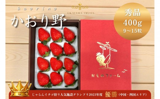 かもめファーム かおり野 化粧箱 400g（9～15粒）岡山県産 いちご 秀品