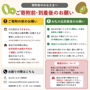キウイフルーツ ヘイワード 約3kg 【2026年11月上旬頃から順次発送】 |  キウイ グリーンキウイ ヘイワード キウイフルーツ フルーツ 果物 きうい くだもの デザート 産地直送 数量限定 
