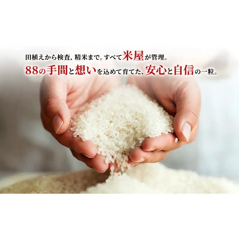 白米 あいちのかおり 精米 富士山麓 白米【5kg 計15kg】【定期便3回】
