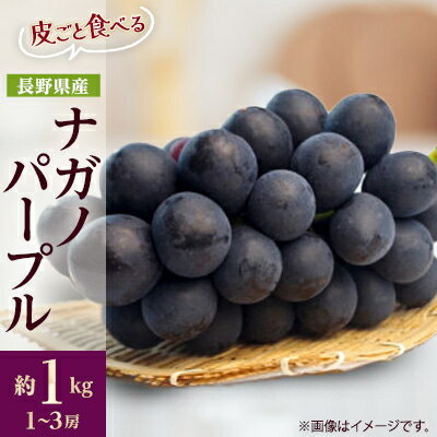 【ふるさと納税】【2025年先行予約】フルーツ王国信州産地直送　皮ごと食べられるナガノパープル　約1kg(1～3房)_ ナガノパープル ぶどう 葡萄 果物 フルーツ くだもの 贈答 ギフト プレゼント 信州 長野 送料無料 人気 産地直送 おすすめ 【配送不可地域：離島】【1541964】