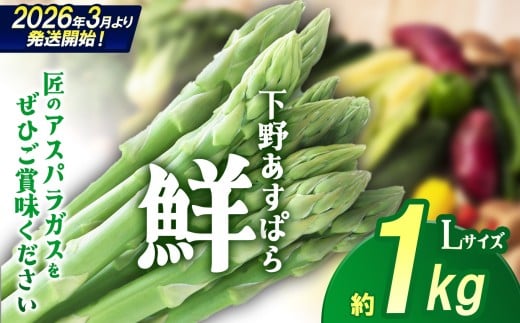 【先行予約】下野あすぱら『鮮』 Lサイズ 1kg  | 先行予約 アスパラ アスパラガス 野菜 選べる内容量 旬野菜 とれたて 春 人気 送料無料 栃木県 下野市