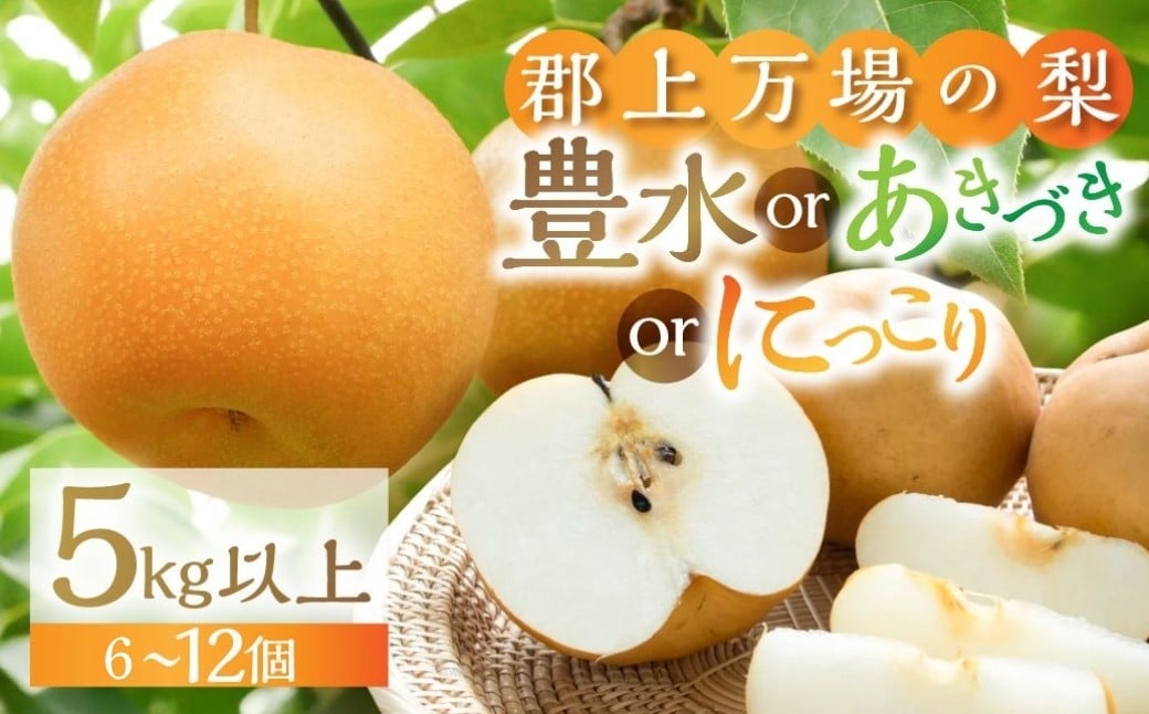 
            郡上大和の梨 令和7年産 先行予約 令和8年産【9月中旬～12月上旬発送】豊水 あきづき にっこり 品種お任せ/ 食品 フルーツ 果物 和梨 梨 なし ナシ 15000円 G0086
          