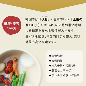 参鶏湯 ( サムゲタン ) 風 スープ 400g×6個 セット 下関 山口 HG001