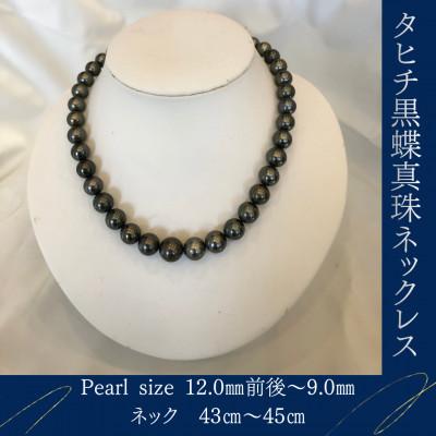 ふるさと納税 嘉麻市 SVタヒチ黒蝶真珠ネックレス
