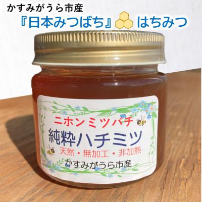 ふるさと納税 かすみがうら市 かすみがうら市産『日本みつばち』の純粋はちみつ 150g
