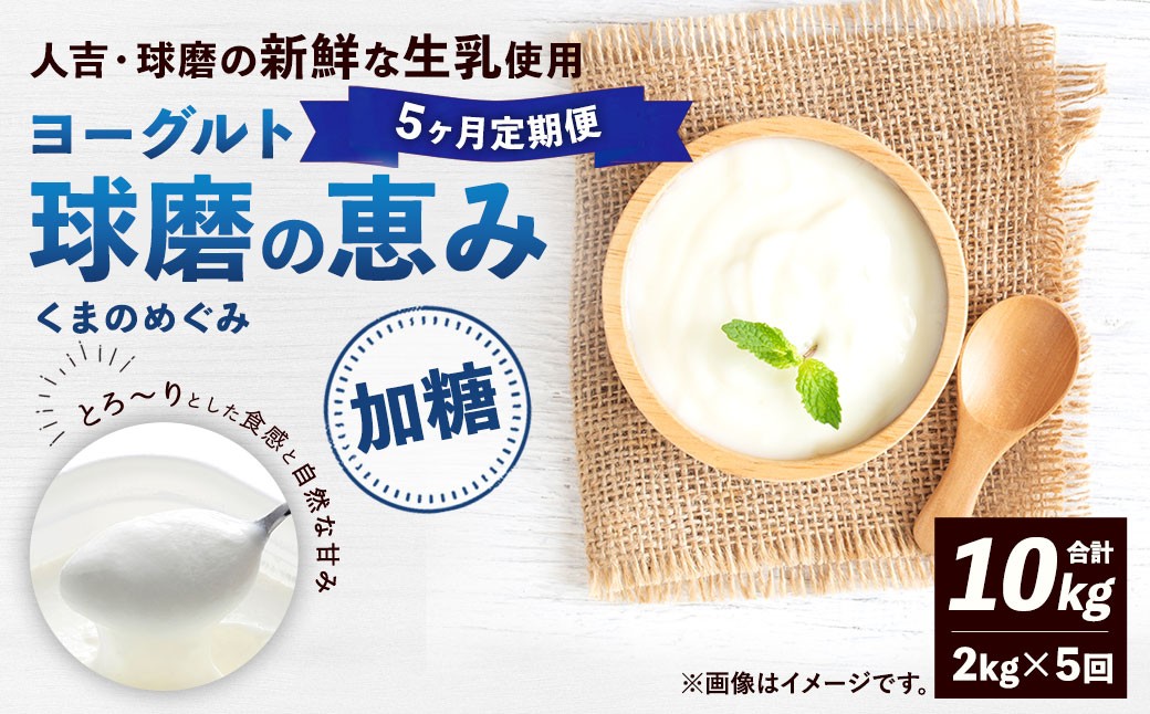 
            【定期便5回】 球磨の恵みヨーグルト （加糖） 2kg （1kg×2パック） （合計10kg） ヨーグルト 牛乳 乳製品 お菓子 菓子 洋菓子 定期便 九州 熊本県 相良村 冷蔵
          