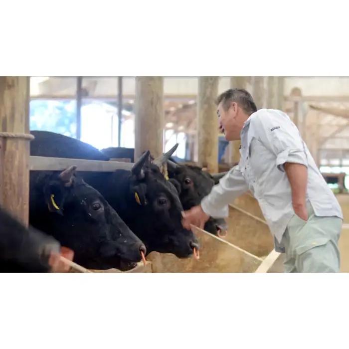 【冷蔵配送】全国大会W受賞！奥出雲和牛肩ロースしゃぶしゃぶ肉の定期便400g×3回 （毎月17日お届け）【牛肉 定期便 3回 400g 肩ロース しゃぶしゃぶ 人気 冷蔵 国産 奥出雲和牛 黒毛和牛 