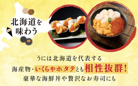 登別近海産冷凍キタムラサキウニ（パック詰）100g(100g×1)