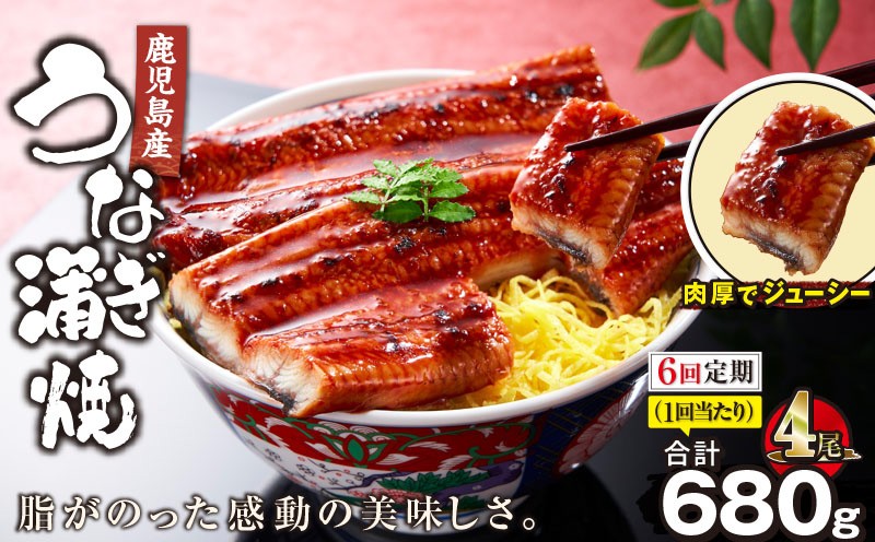 
                  【全6回定期便】鹿児島産うなぎ蒲焼 170g×4尾 清らかな地下水育ち！　KN021-T32
                