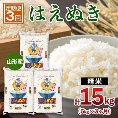 ふるさと納税 山形市 【定期便3回】山形産 はえぬき 5kg×3ヶ月(計15kg) FZ26-896