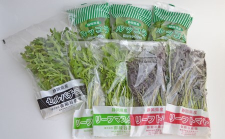 定期便 3回 国産 ハーブ 野菜 詰め合わせ 約 450g 4種 8袋 セット × 3ヶ月 お届け ルッコラ 約 50g × 3袋 リーフトマト 赤からし菜 約 50g × 2袋 リーフマスタード か
