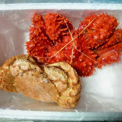 ふるさと納税 根室市 ＜12/21まで年内配送＞★花咲ガニ1尾・毛がに1尾(2種計1.3kg前後) D-57039 |  | 01