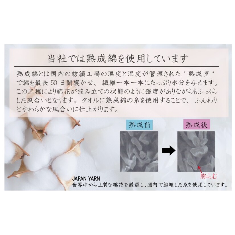 普段使いにぴったりのフェイスタオル 8枚【黄肌色 泉州タオル 高品質 綿100％ 日本製 国産 単色 シンプル】 G2266_イメージ2