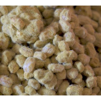 ふるさと納税 舞鶴市 大阪屋の麹で作る麦田舎味噌セット |  | 02