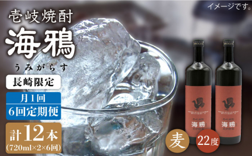 【全6回 定期便 】麦焼酎 海鴉 25度 720ml 2本入りセット 《 壱岐市 》【天下御免】[JDB111]