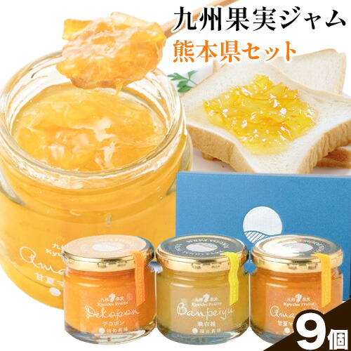 九州果実ジャム 熊本県セット 9個セット デコポンジャム 甘夏マーマレード 晩白柚ジャム 1個あたり120g《30日以内に出荷予定(土日祝日除く)》熊本県 水俣市 津奈木町 福田農場 ジャム マーマレード 柑橘 セット