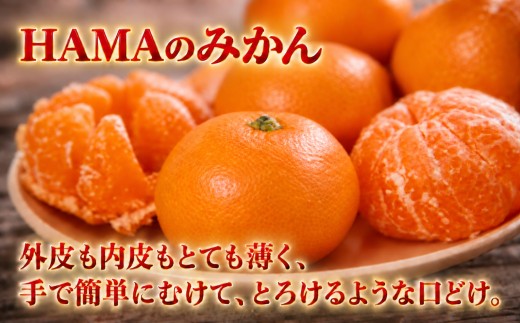 【先行受付】ミネラルを運ぶ潮風に吹かれ甘く育ったみかんを厳選　完熟「HAMAのみかん」　正味約7ｋｇ【39-96】/ みかん ミカン 3kg 5kg 7kg フルーツ 果物  くだもの 柑橘 完熟 産