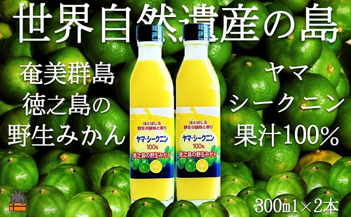 
            140 ～野生の島みかんの味～徳之島のヤマ・シークニン果汁（300ml×2本） ( 調味料 柑橘 果物 薬味 果汁 香り 酸味 ドレッシング 野生みかん  みかん ヤマシークニン 奄美 鹿児島 鍋 焼き魚 料理  お酒 焼酎 酸味 ダイキチ食品 )
          