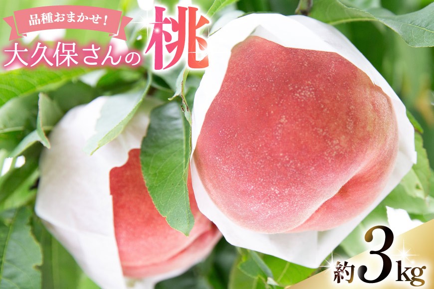 
                  【2026年発送】桃 もも モモ 大久保さんの桃 約3.0kgフルーツ 果物 くだもの 3キロ 山梨県産 産地直送 季節限定 期間限定 農園 直送 新府の桃 山梨 山梨県産 [大久保桃園 山梨県 韮崎市 20745243]
                
