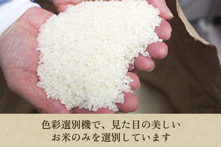 【定期便6ヶ月毎月お届け】【2024年先行予約】【令和6年産新米】化学肥料未使用の従来コシヒカリ【厳選八蔵10kg】特別栽培 有機肥料で育った厳選米 加茂市 新潟サトウ農園