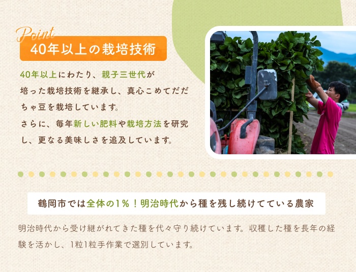 【令和8年産先行予約】だだちゃ豆 (早生甘露) 　1.5kg (500g×3袋) 　だだちゃ喜左衛門株式会社