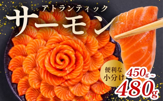アトランティック サーモン 450g - 480g 魚 海鮮 刺し身 刺身 鮭 さけ サケ シャケ おすすめ ふるさと 海鮮食品 魚介類 魚介 ランキング 贈答用 ギフト 新鮮 生食 サーモン 発送時期 小分け ブロック 鮮度抜群 柵 海鮮丼 冷凍