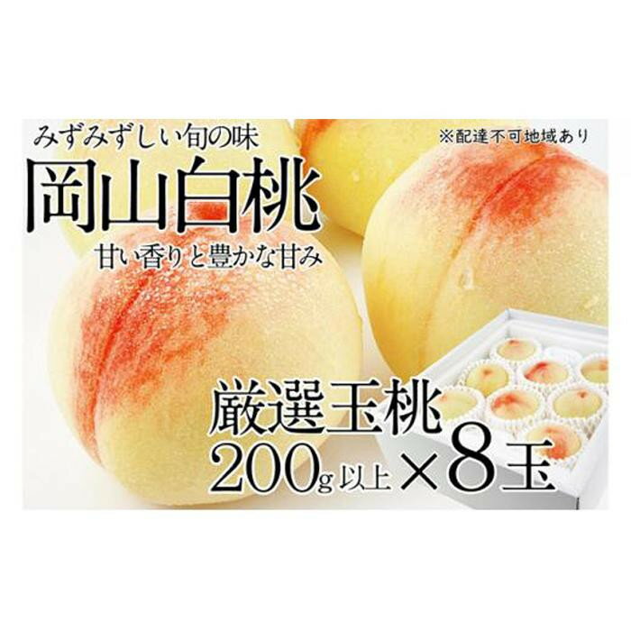 【ふるさと納税】【選べる内容量】桃 2026年 岡山の白桃　200g以上×8玉・250g以上×6玉・300g以上×6玉 | 白桃 旬 みずみずしい 晴れの国 おかやま 岡山県産 フルーツ王国 果物王国 | もも フルーツ 果物 くだもの 食品 人気 おすすめ 送料無料