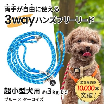 
                  ＜犬用リード＞3WAYハンズフリーリード(超小型犬用)ブルー×ターコイズ＜ゴールデンママ＞【1712895】
                