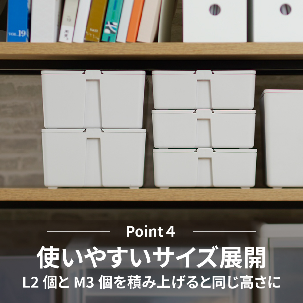 かるコンM・Lサイズセット[099N07]_イメージ5