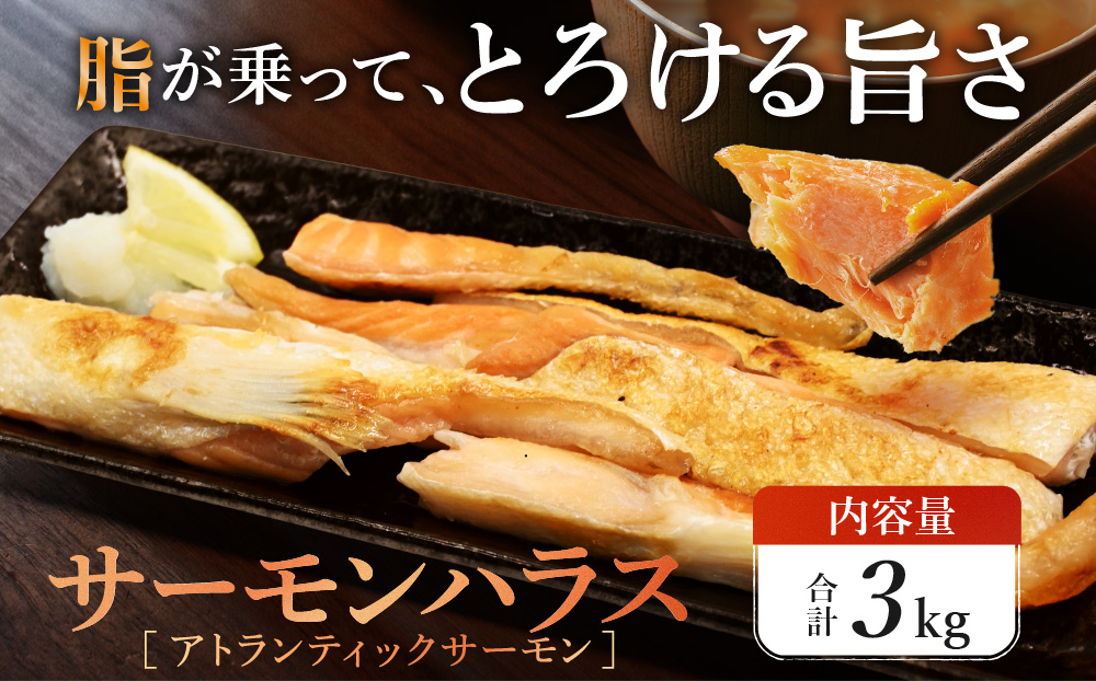 サーモン ハラス 3kg (200ｇ×15p) アトランティックサーモン 鮭 鮭はらす 干物 ひもの 大洗町 焼魚 焼き魚 魚 魚介 海鮮 海産物 冷凍 工場直送 おかず おつまみ
