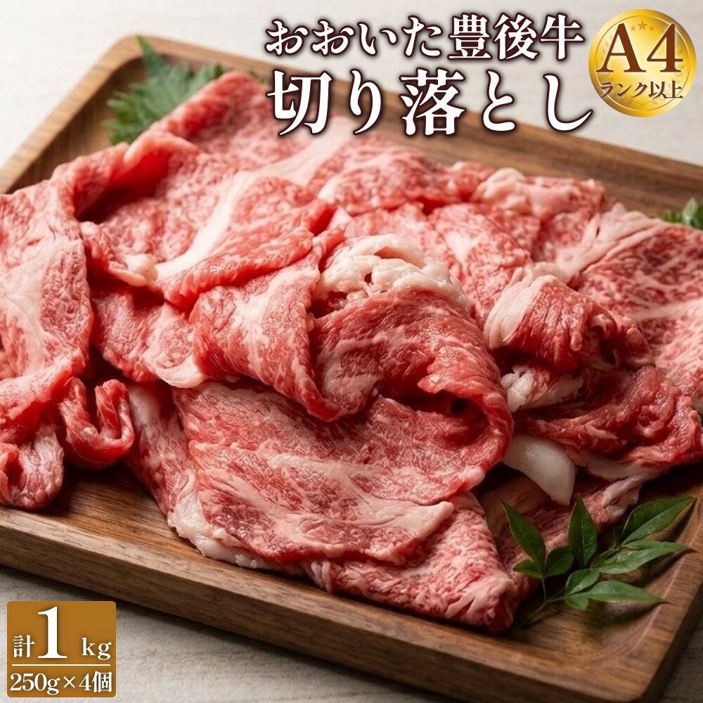 【ふるさと納税】正統派黒毛和牛 おおいた豊後牛 切り落とし 1000g 小分け