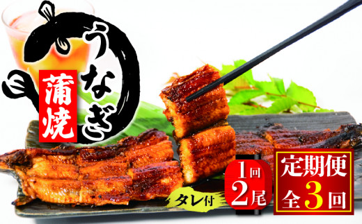国産 うなぎ 定期便 蒲焼 約180g×2尾 タレ付 3ヵ月定期便 ( 冷凍 うなぎ3回 定期便 丑の日 ギフト 国産 滋賀県 竜王町 ふるさと納税 )