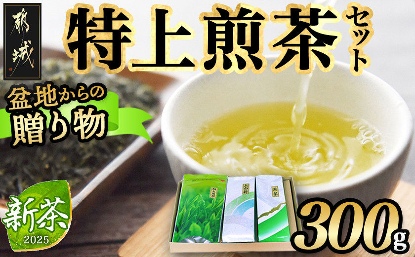 
盆地からの贈り物 特上煎茶セット_AA-4801_(都城市) 茶葉 特上煎茶 上白折 煎茶 各100グラム お茶の産地 最高級品 一番茶 Green Tea 水出し ギフト 家庭用 日本茶
