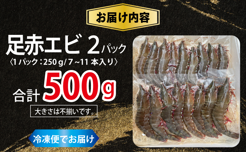足赤エビ 500ｇ【国産 えび 天然 ぷりぷり 海鮮 水揚げ 生食可】 015B593