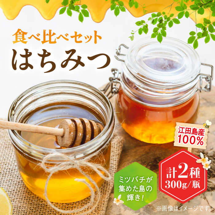 【ふるさと納税】江田島産100％ はちみつ 2種食べ比べセット（300g×2本） ハチミツ 蜂蜜 国産 広島 江田島市/はつはな果蜂園 [XCD008] ハチミツ 国産蜂蜜 国産はちみつ 純粋はちみつ 人気 常温 保存 備蓄 非常食 産地直送 食べ比べ
