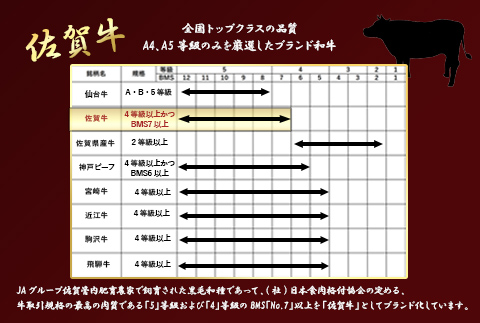【6月中の発送】佐賀牛リブローススライス600g 霜降り ギフト 訳あり すき焼き しゃぶしゃぶ A4 A5 国産 黒毛和牛 牛肉 霜降り ブランド牛 ステーキ BBQ 焼肉 キャンプ アウトドア 贈