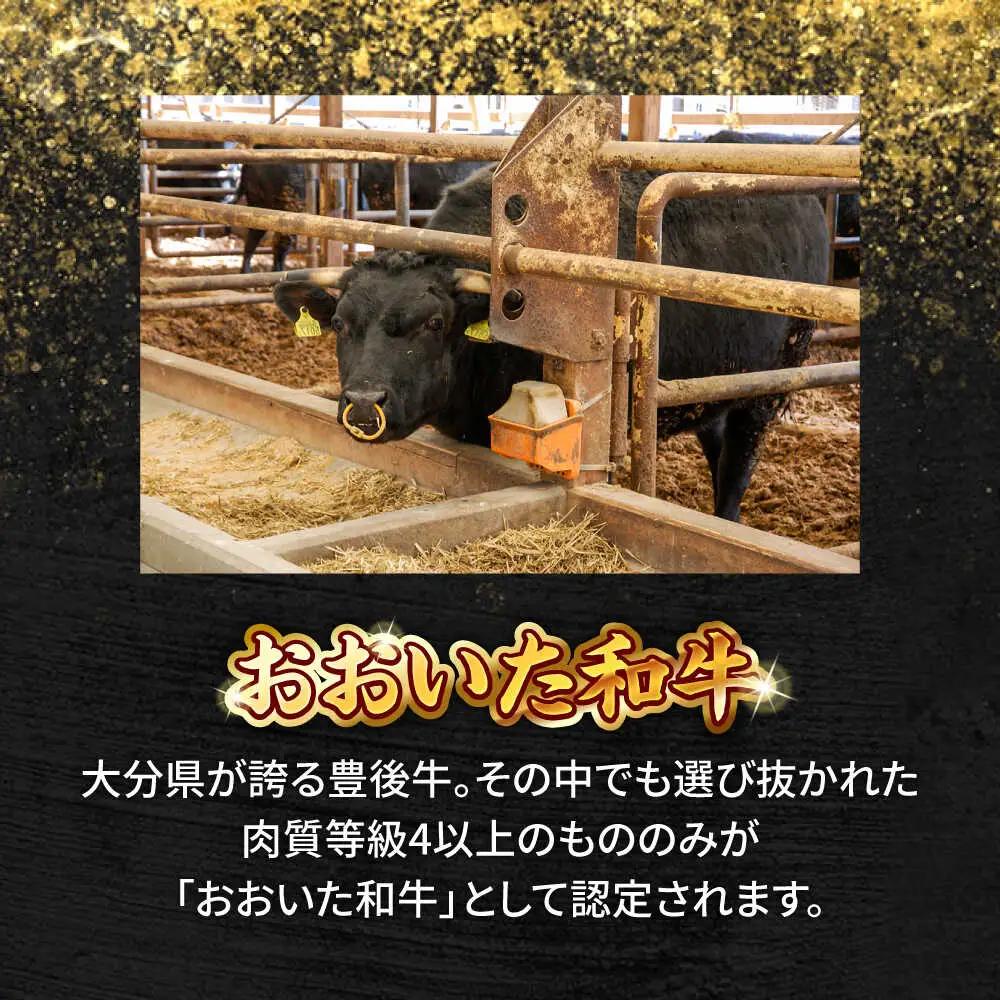 おおいた和牛 ももスライス  500g しゃぶしゃぶすき焼き用 A4 A5 冷凍 大分県 日田市 もも肉 牛肉 しゃぶしゃぶ すき焼き [ARCG009]