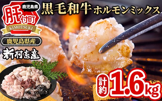鹿児島県産黒毛和牛ホルモンミックス(計約1.6kg・約400g×4P)【新村畜産】